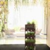 Orto Verticale Dolce Vita - immagine 3