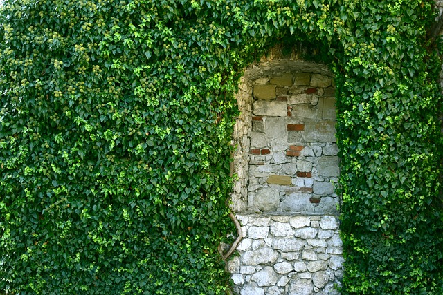 Orto Magico a parete idroponico / Green Wall